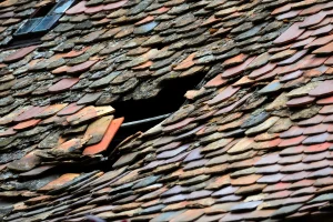 Roof Leak Repair